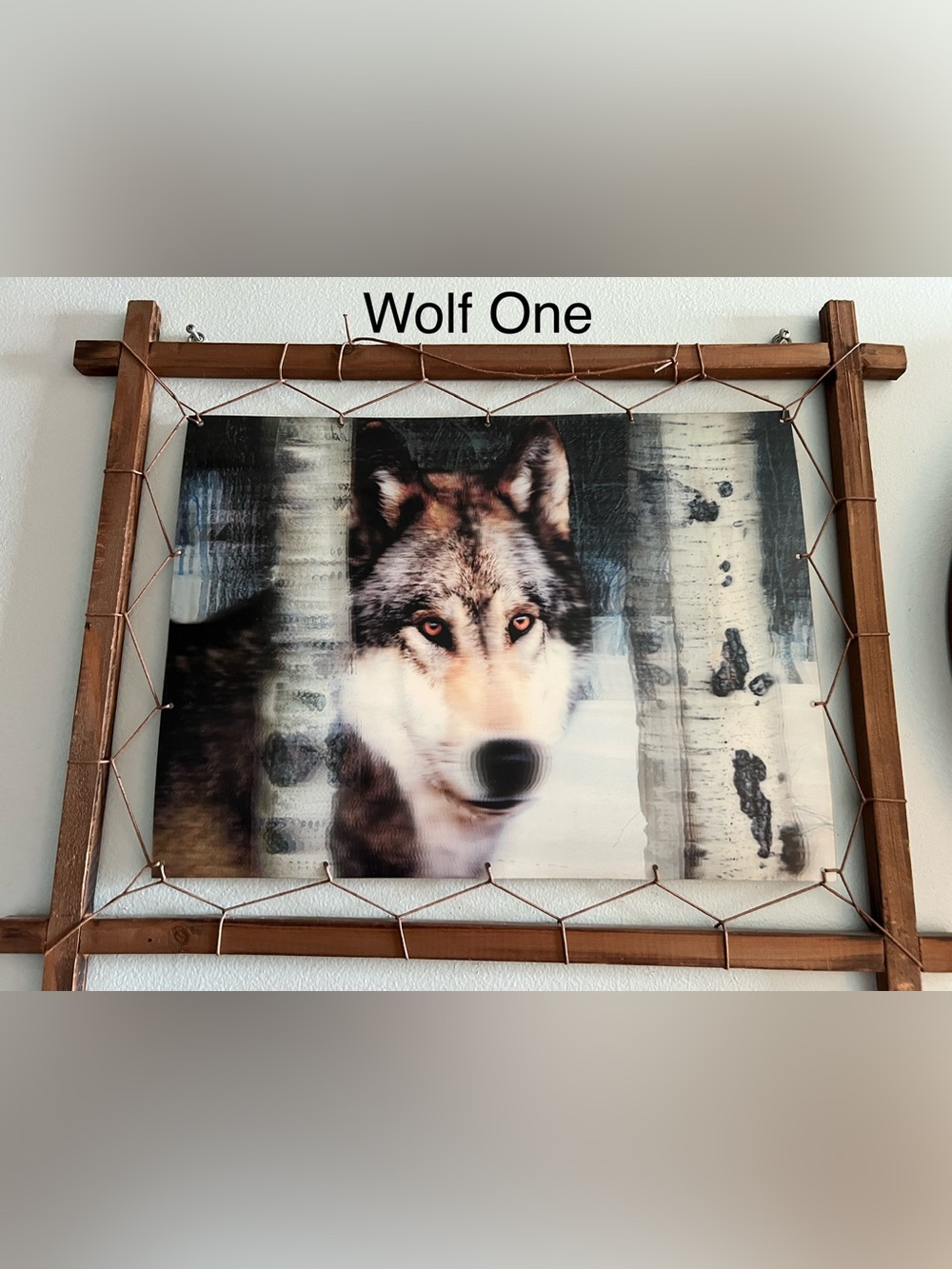 Pick One: Majestic Wolf Pictures - Picture 3 of 9